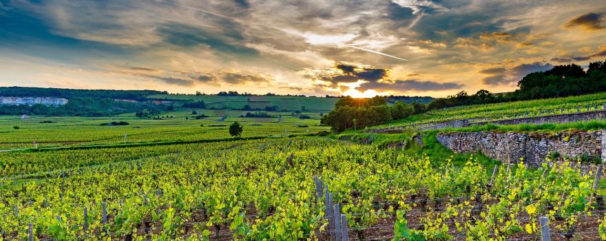 Burgund