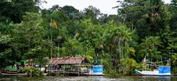 French Guiana Hotels With Bar
