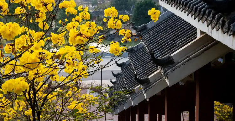 Hotels near Jiangnan Park
