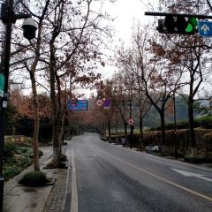 龍井草堂張用戶圖片