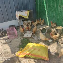 泓緣生態體驗館張用戶圖片