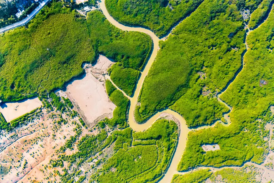 Zhangjiangkou Mangrove National Nature Reserve