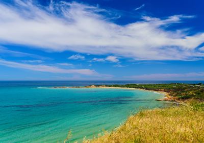 Anglesea Riverbank