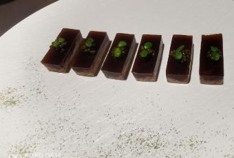 Fortune Pavilion User Photo