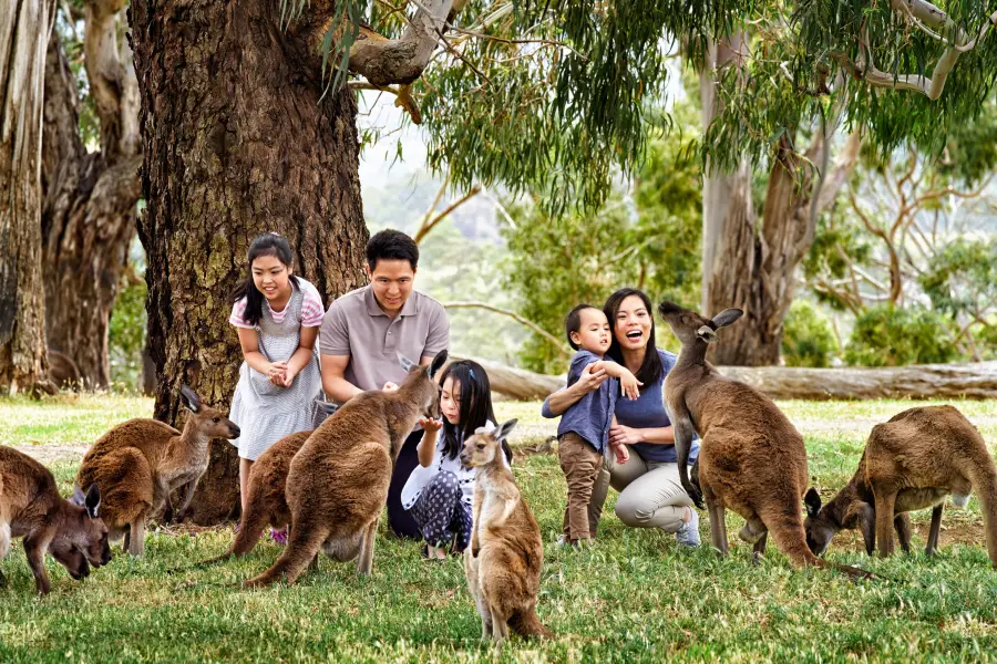 克萊蘭德野生動物園