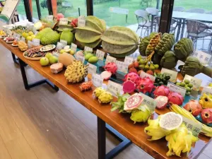 Window of World Tropical Fruits