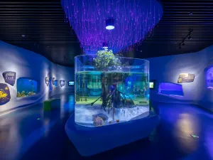 National Maritime Museum of China
