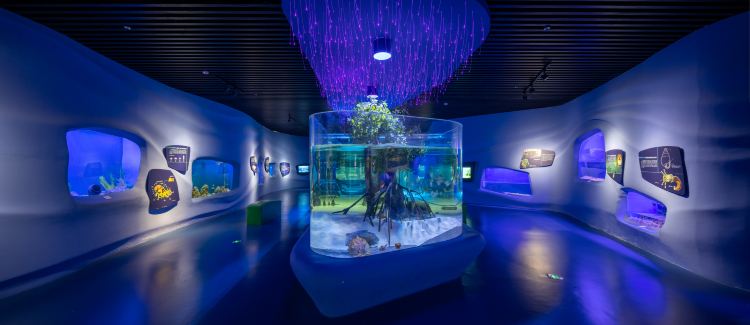 Guojiahaiyang Museum