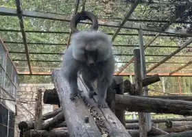 Beijing Dongwuyuan- Children Zoo