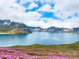 Alpine Garden