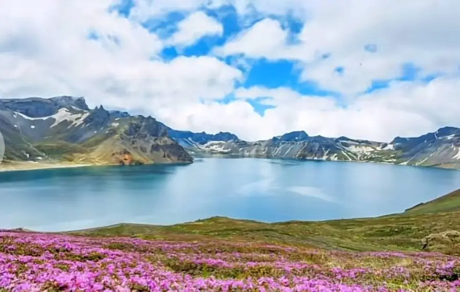 Alpine Garden