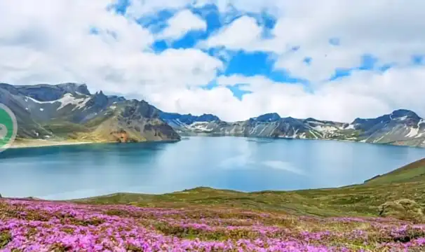 鄰近高山花園的酒店
