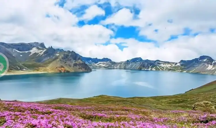 Hotels near Alpine Garden