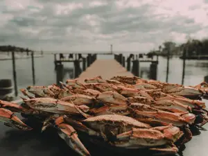 Dock of the Bay