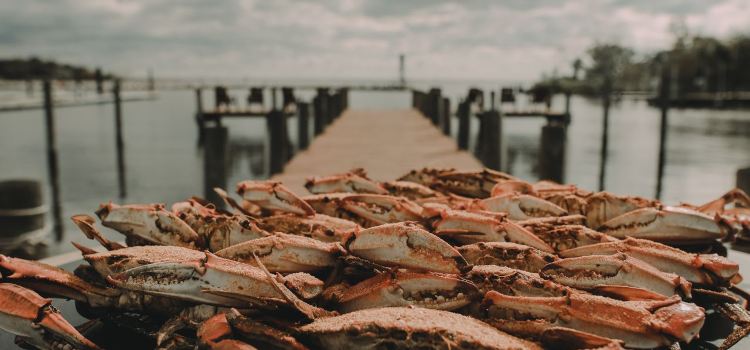 Dock of the Bay