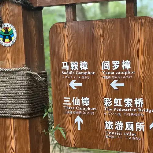 Guzhanglin Sceneic Area