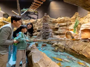 Zoolung Zoolung室內萌寵樂園(SEOUL TIMES SQUARE分店)
