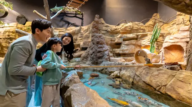 2_Zoolung Zoolung Animal Theme Park (SEOUL TIMES SQUARE)