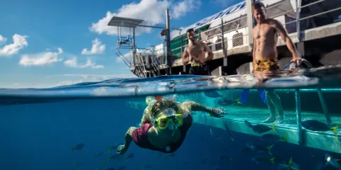 太陽戀人號大堡礁遊輪