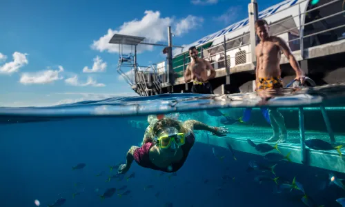 Sunlover Reef Cruises