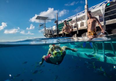 Sunlover Reef Cruises
