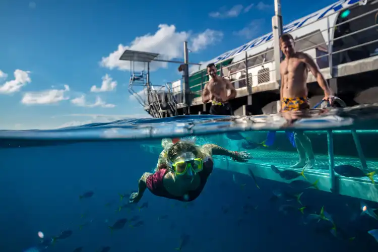 Hotels near Sunlover Reef Cruises