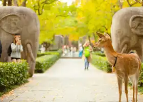 明孝陵