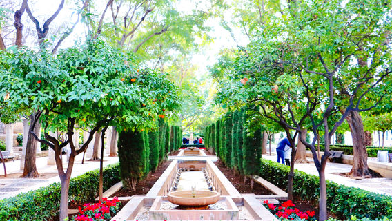 Jardines de S'Hort del Rei