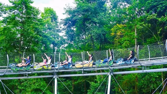 Bifengxia Jungle Roller Coaster