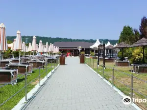 Parco Acquatico River Park