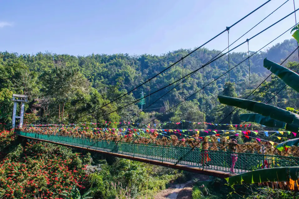 3_Xishuangbanna Primeval Forest Park