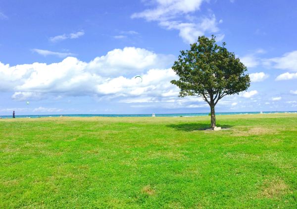Montrose Beach