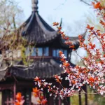 Humble Administrator's Garden (Zhuozheng Garden)