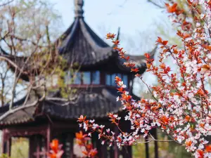 줘정위안(졸정원)