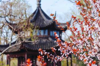 Popular Best Things to Do in Suzhou