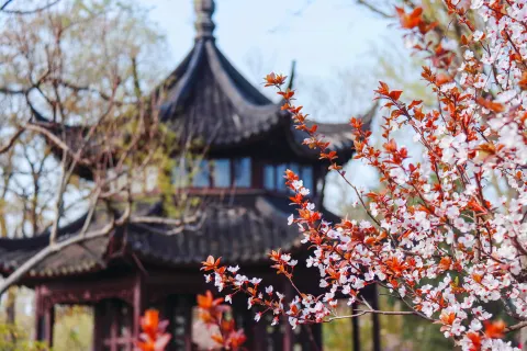 Humble Administrator's Garden (Zhuozheng Garden)