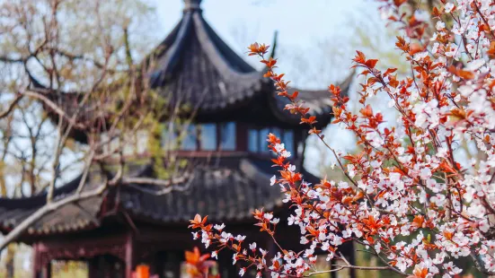 Humble Administrator's Garden (Zhuozheng Garden)