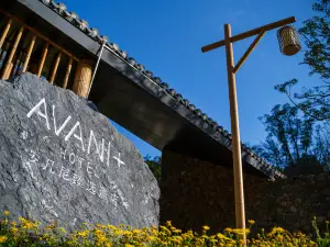 Xinyi Ma'an Bamboo Sea Tourist Area
