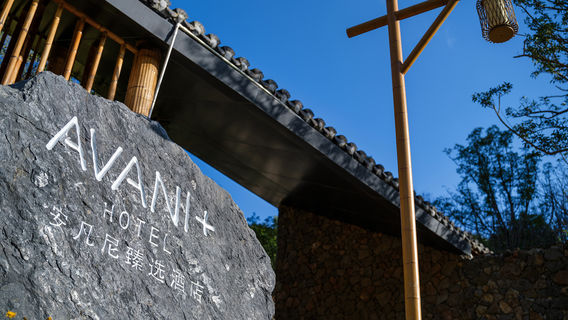 Xinyi Ma'an Bamboo Sea Tourist Area