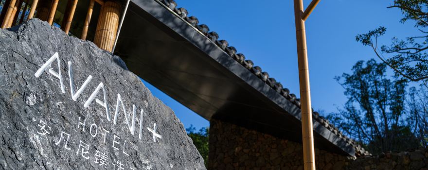 Xinyi Ma'an Bamboo Sea Tourist Area