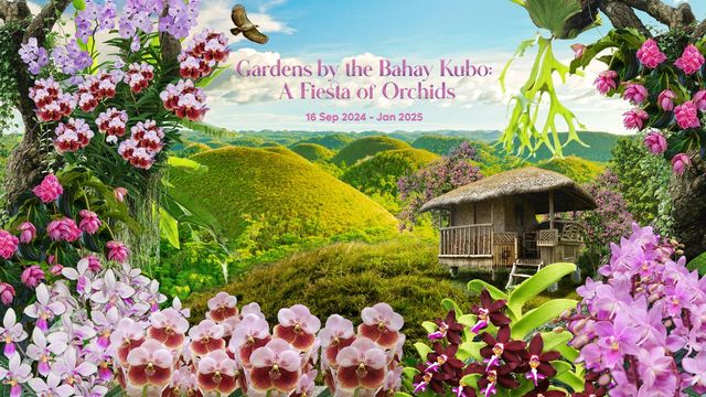 A Fiesta of Orchids | Singapore
