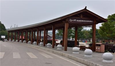 Stone Forest Scenic Area - Electric Vehicle Return Station