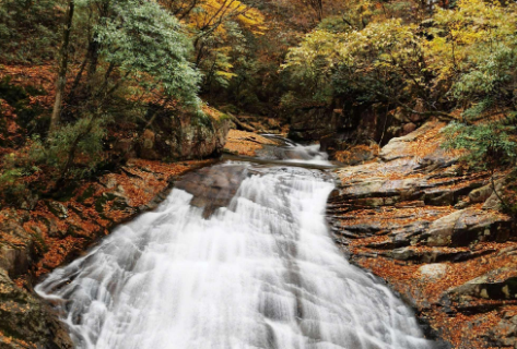 shi ba yue tan pu bu qun