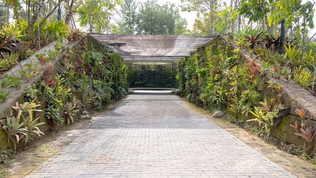 Sunken Garden