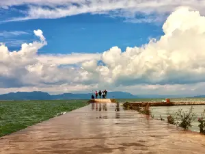 海晏村