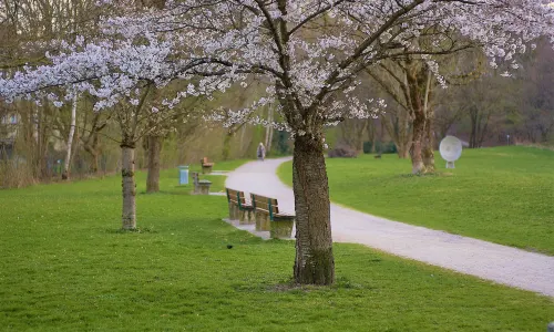 English Garden