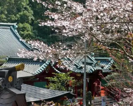 กิจกรรมในฤดูใบไม้ผลิยอดนิยมในฮาโกเน่