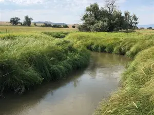 Prairie Dog Creek