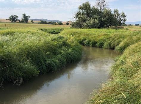 Prairie Dog Creek