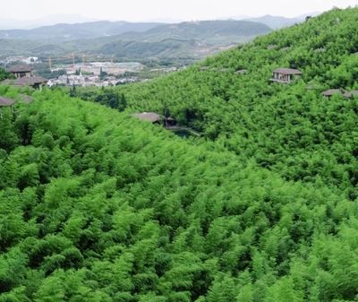 Zhuxi Valley Scenic Area